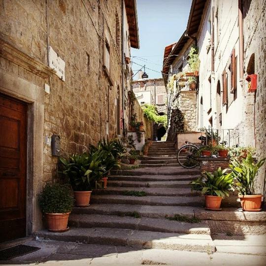 Residenza Turistica Di Via Delle Caiole 32 Viterbo 维泰博 外观 照片